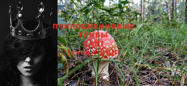 MDMA Алзамай