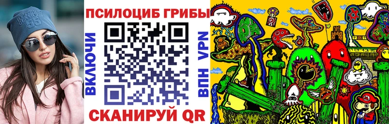 Псилоцибиновые грибы мицелий Тольятти