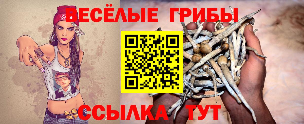 Галлюциногенные грибы ЛСД Тольятти