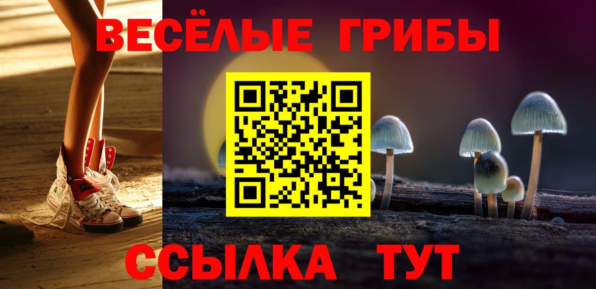 Тольятти  Псилоцибиновые грибы прущие грибы  как найти закладки  Псилоцибиновые грибы ЛСД  Вход с VPN 